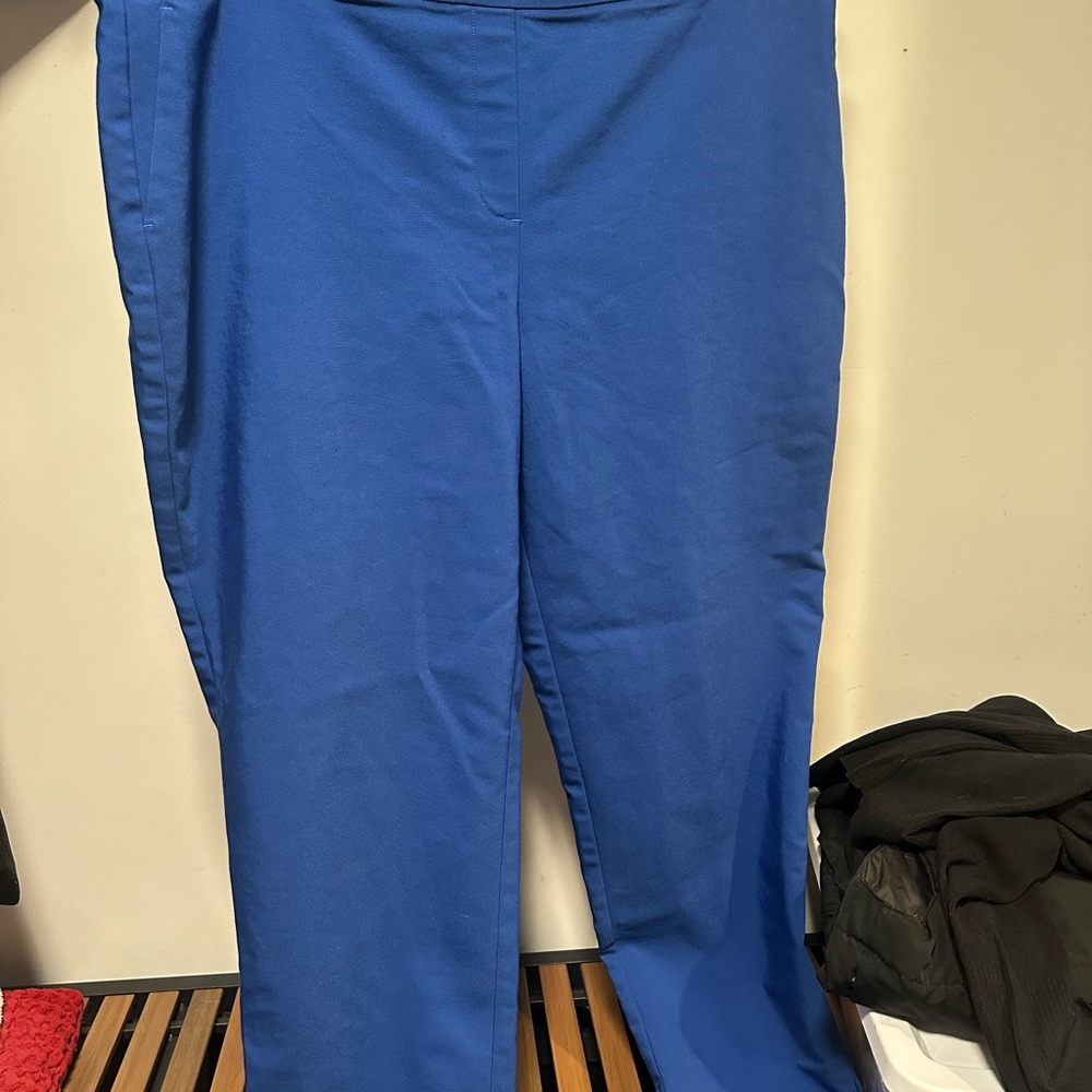 Chaus Blue Stretch Knit Pants